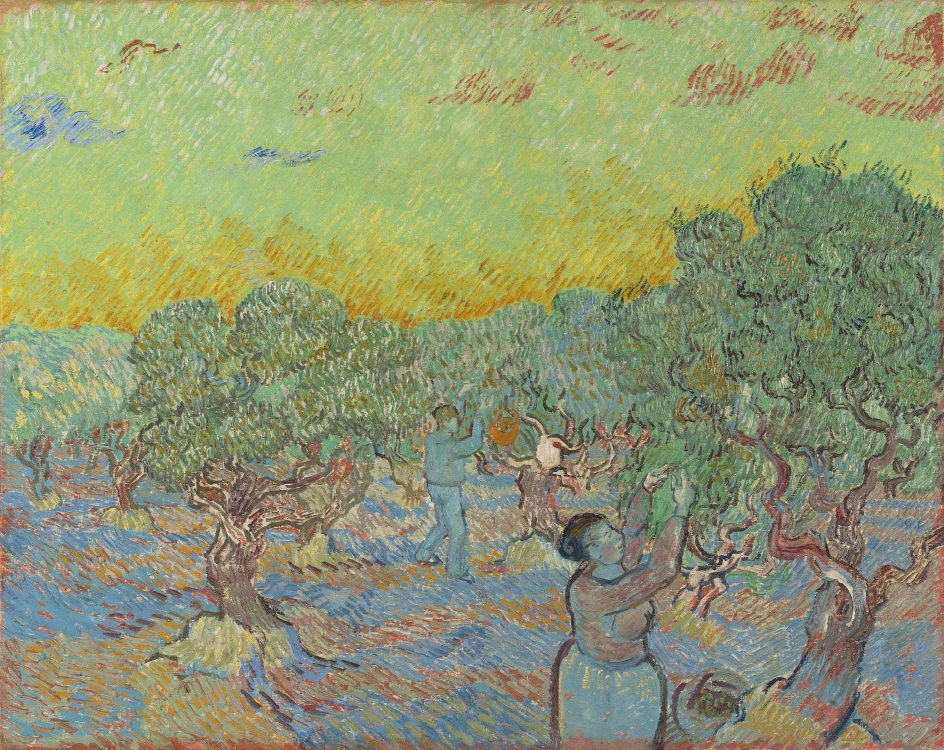 Oliveraie avec deux cueilleurs de Vincent van Gogh, Kröller-Müller Museum, KM 104.796