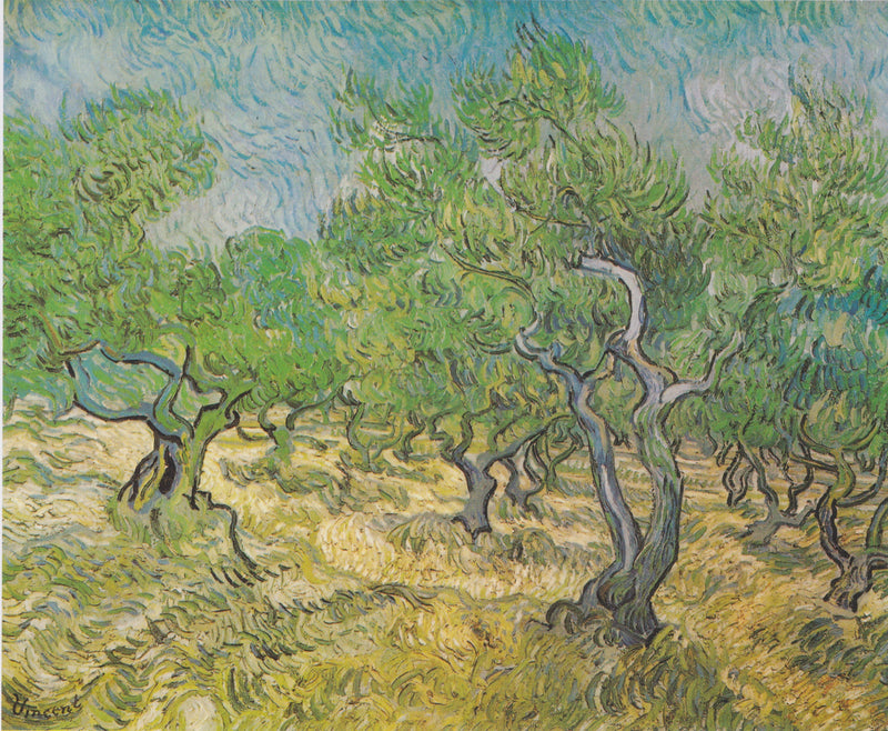 Pole oliwne - Vincent van Gogh