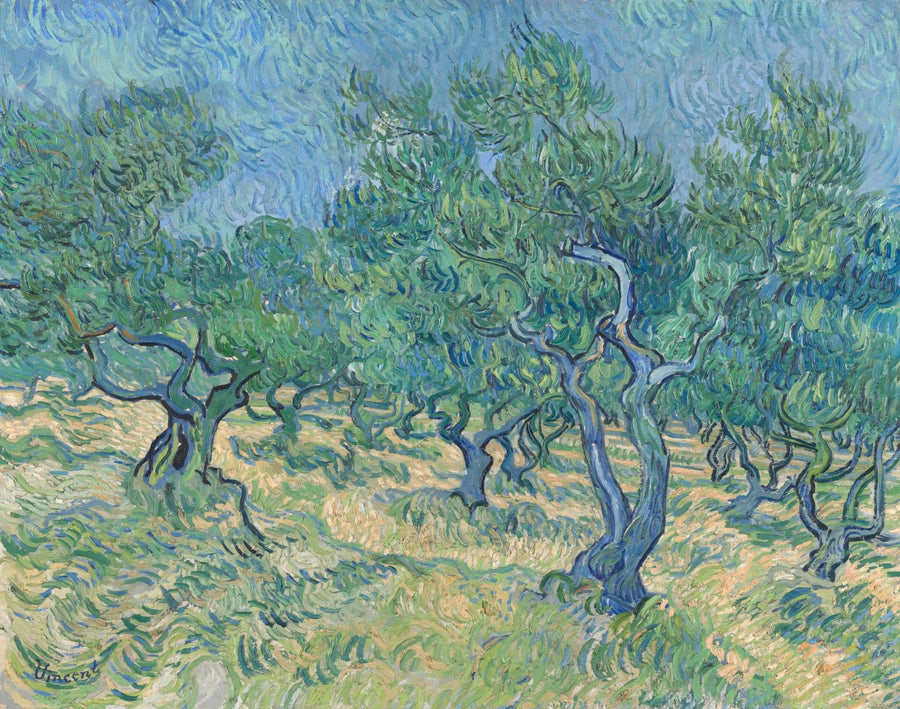 Oliwnia - Vincent van Gogh