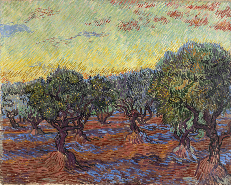 Gaj oliwny, Saint-Rémy - Vincent van Gogh