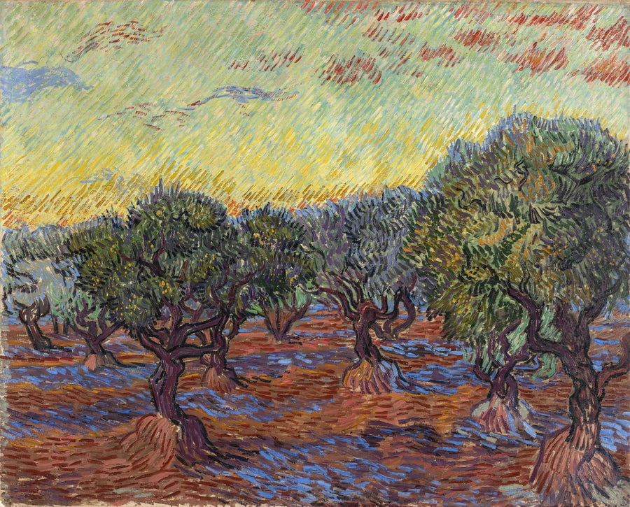 Gaj oliwny, Saint-Rémy - Vincent van Gogh