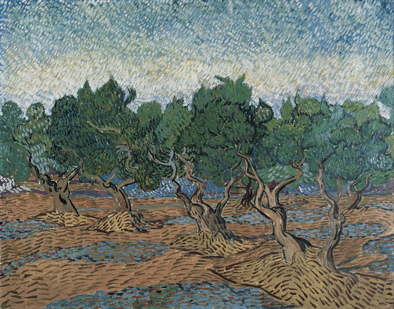 Oliwnia - Vincent van Gogh