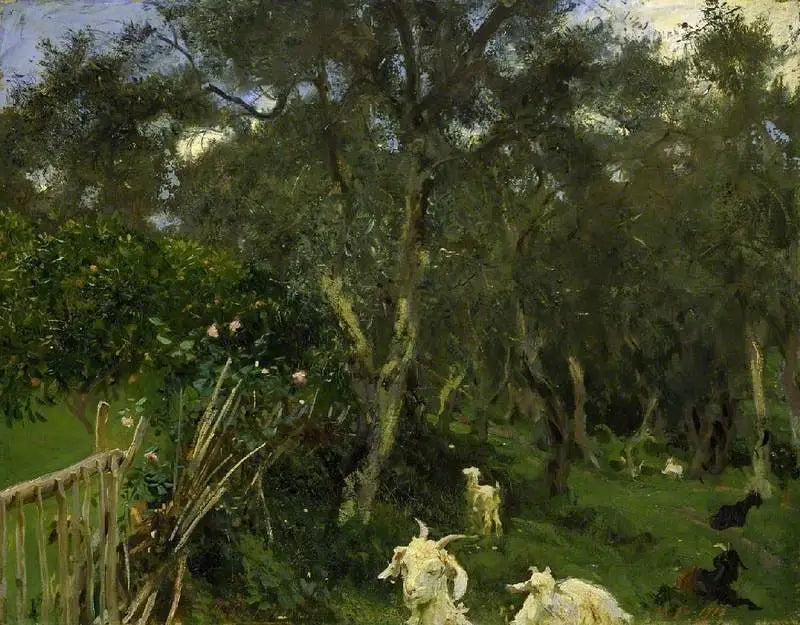 Oliwki na Korfu - John Singer Sargent