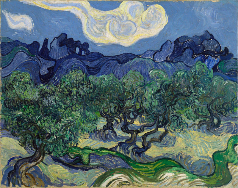 Oliwki z Alpilles w tle - Vincent van Gogh