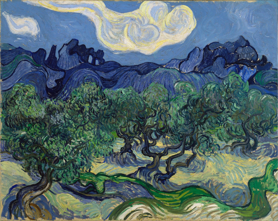 Oliwki z Alpilles w tle - Vincent van Gogh