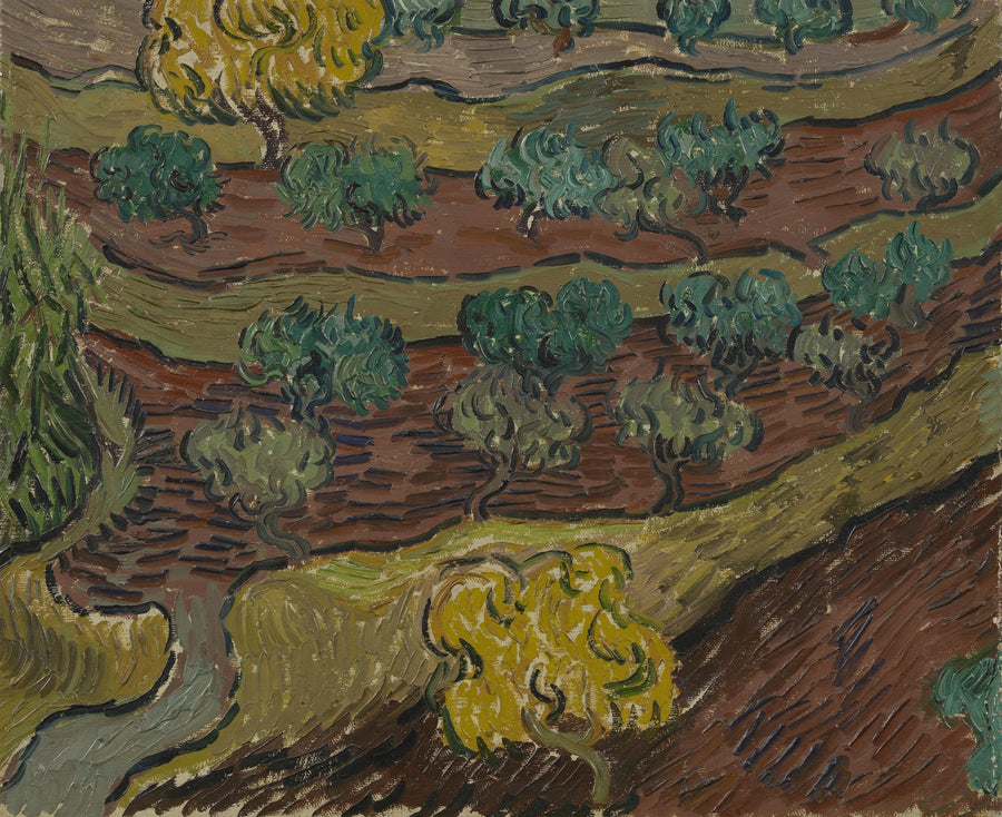 Oliwki na wzgórzu - Vincent van Gogh