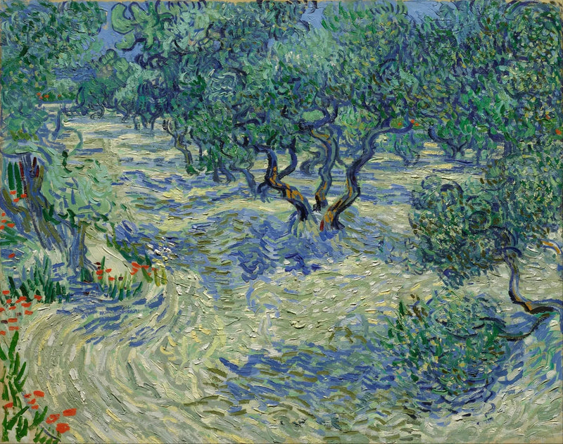 Oliwnia - Vincent van Gogh