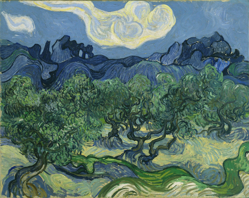 Oliwki - Vincent van Gogh