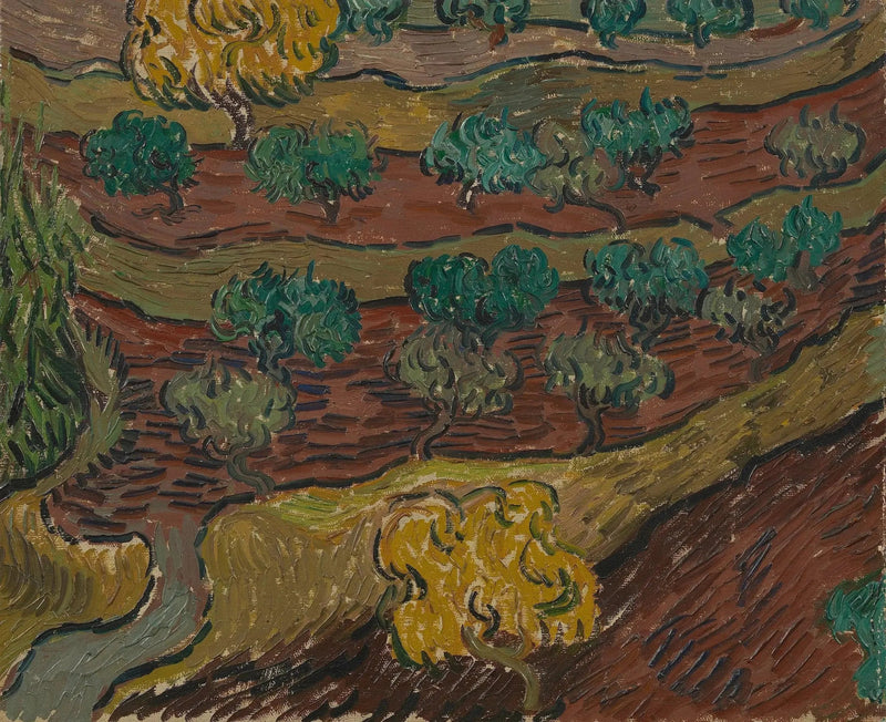 Oliwki na wzgórzu - Vincent van Gogh