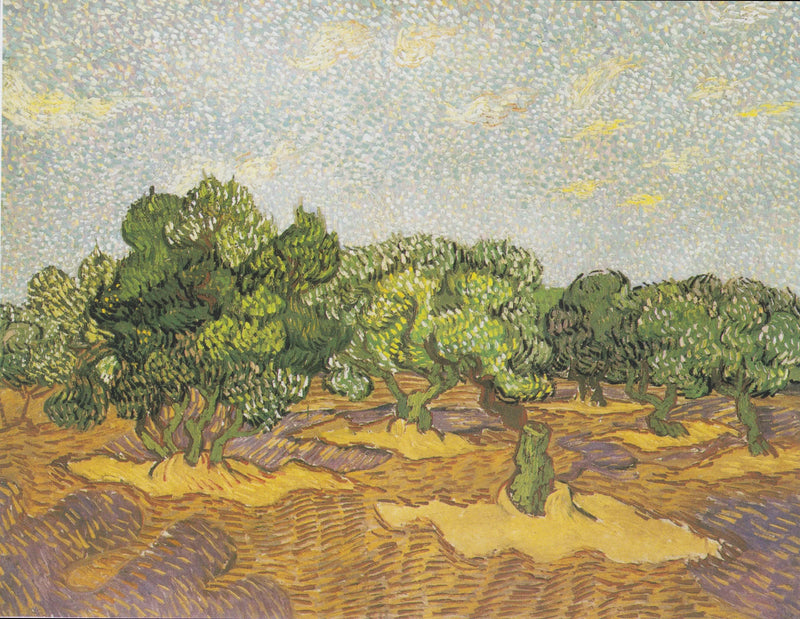 Oliwki - Vincent van Gogh