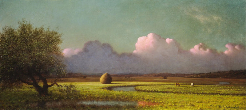 Cień i światło: mokradła w Newbury - Martin Johnson Heade