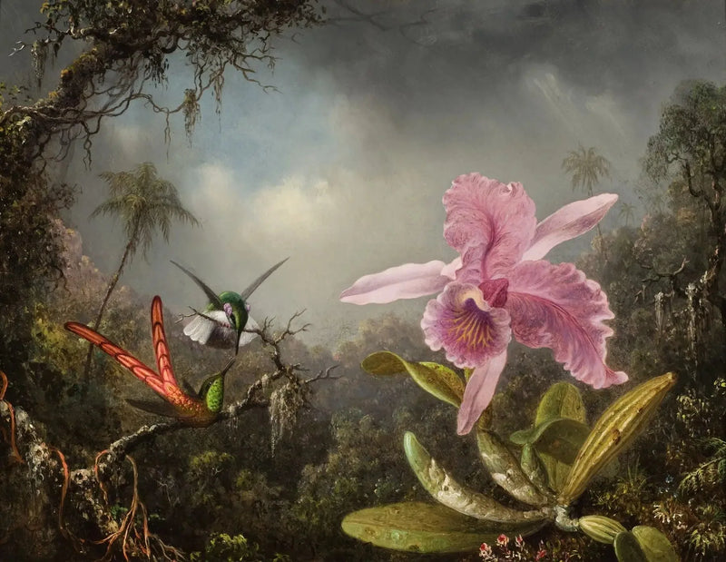 Orchidea z dwoma kolibrami - Martin Johnson Heade