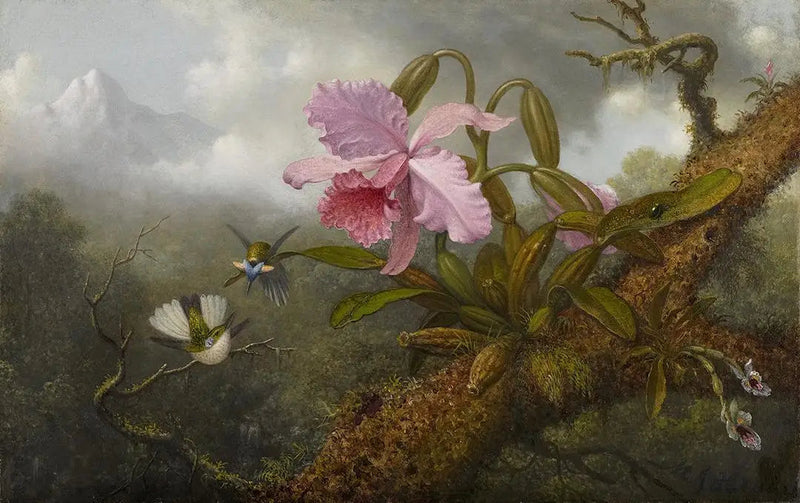 Orchidea Cattleya, dwa kolibry i skarabeusz - Martin Johnson Heade