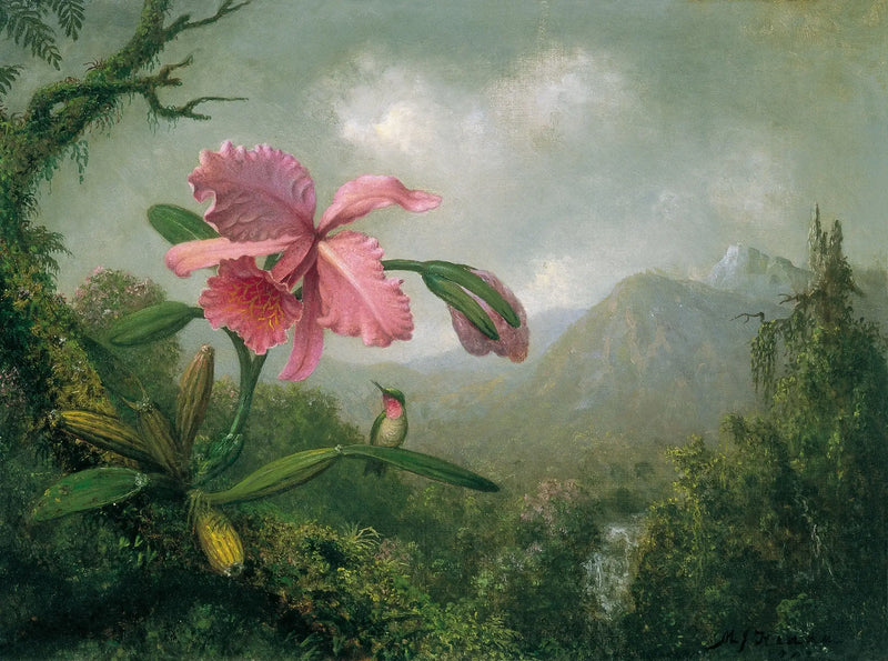Storczyk i koliber przy górskim wodospadzie - Martin Johnson Heade
