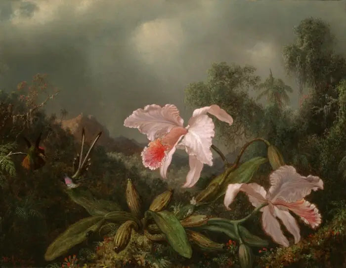 Orchidee z dżungli i kolibry - Martin Johnson Heade