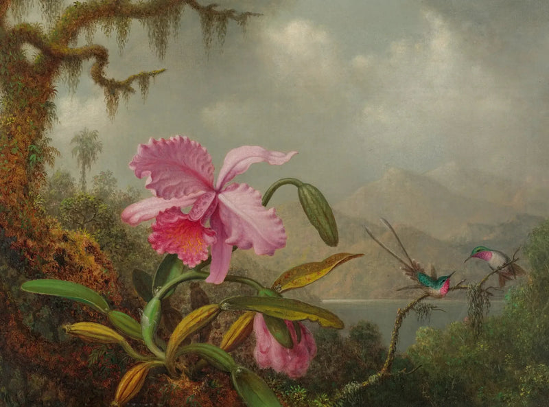 Orchidee i kolibry - Martin Johnson Heade