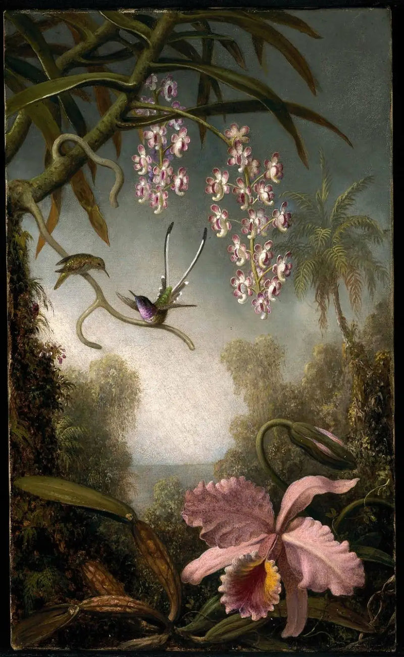 Orchidee i orchidee w sprayu z kolibrem - Martin Johnson Heade