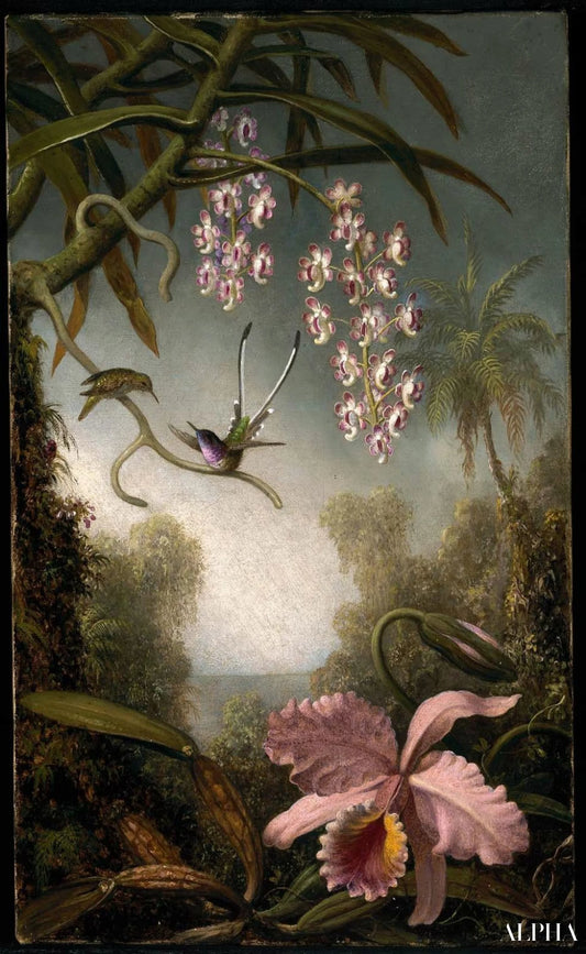 Orchidées et Spray Orchids avec Colibri - Martin Johnson Heade - Reproductions de tableaux et peintures haut de gamme