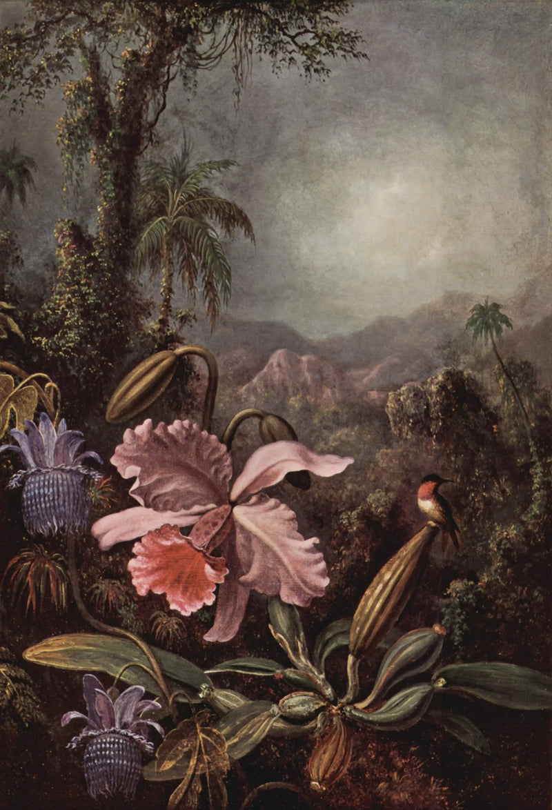 Orchidee, passiflores i kolibry - Martin Johnson Heade