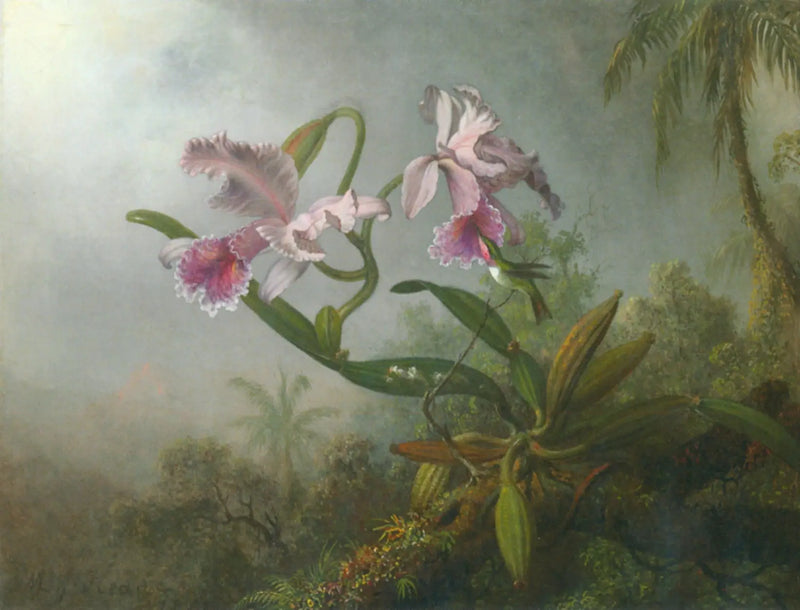 Różowe orchidee i koliber na gałązce - Martin Johnson Heade