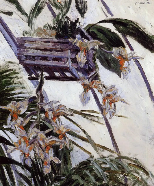 Orchids - Caillebotte - Reproductions de tableaux et peintures haut de gamme