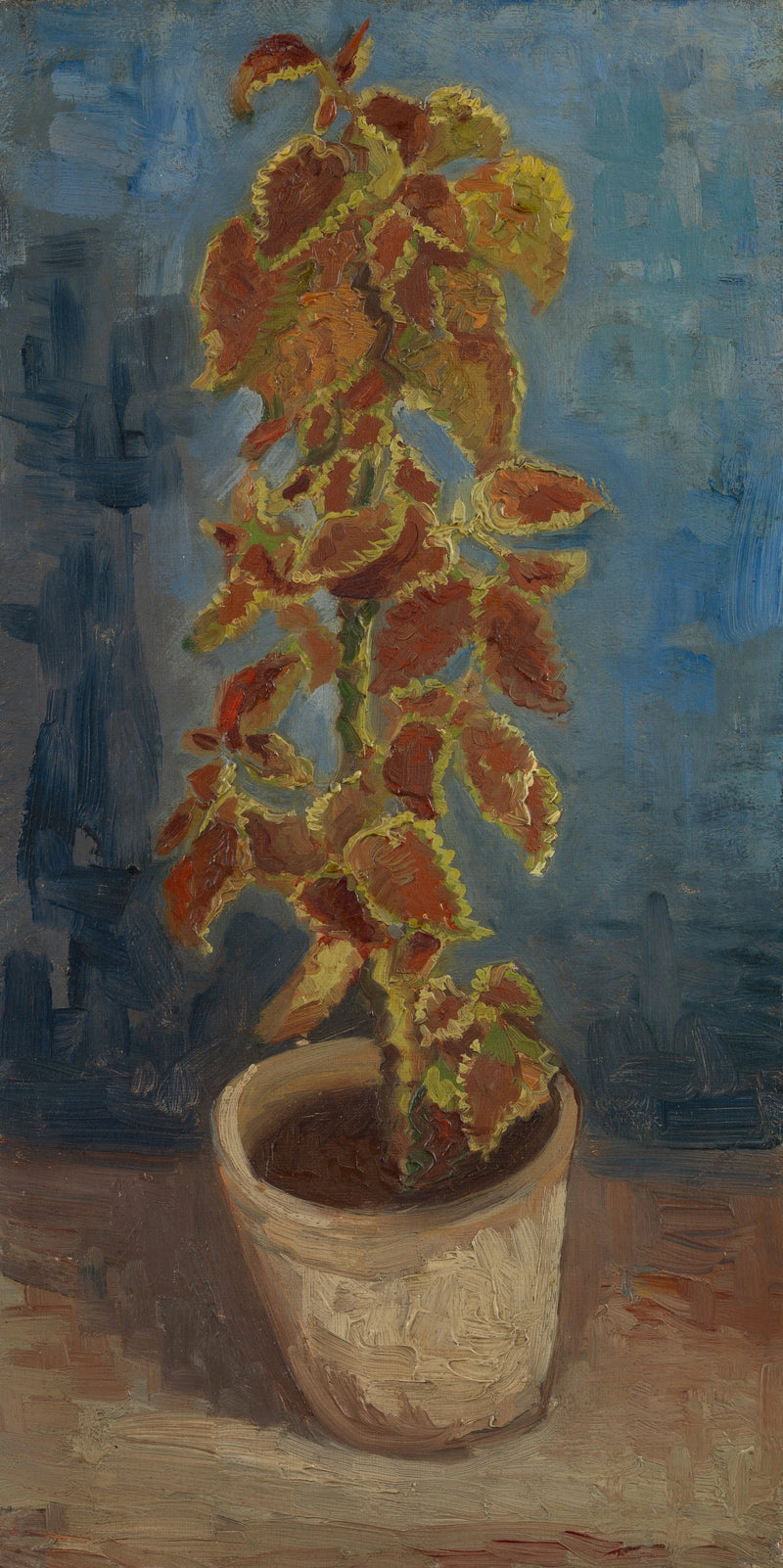 Płonąca pokrzywa w doniczce - Vincent van Gogh