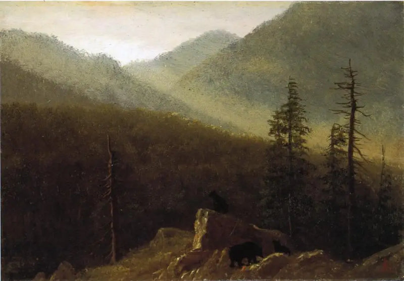  Niedźwiedź w naturze - Albert Bierstadt