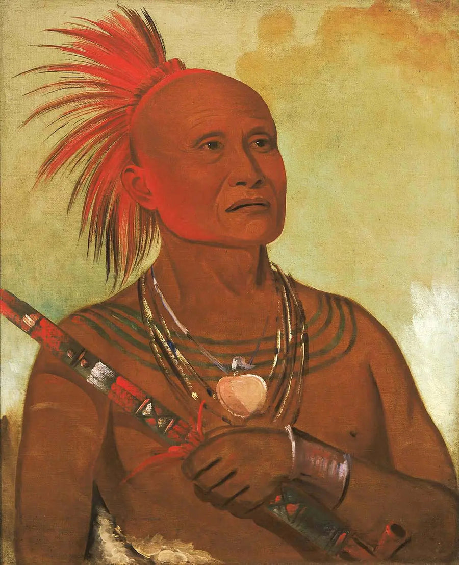 Pam-a-hó, pływak, jeden z wojowników Black Hawk - George Catlin