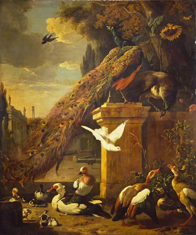 Pawie i kaczki - Melchior de Hondecoeter