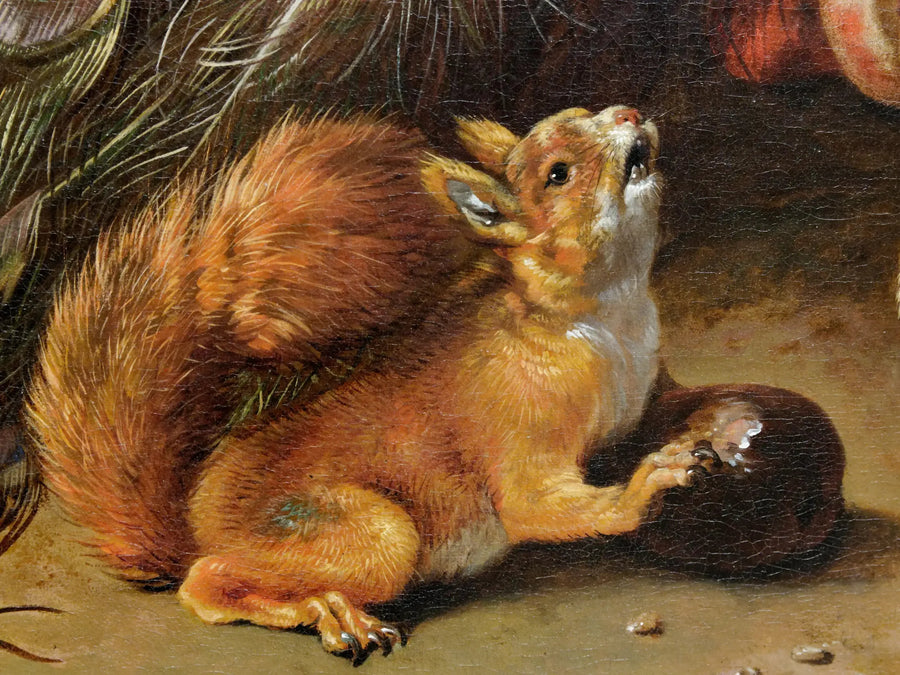 Paony - Melchior de Hondecoeter