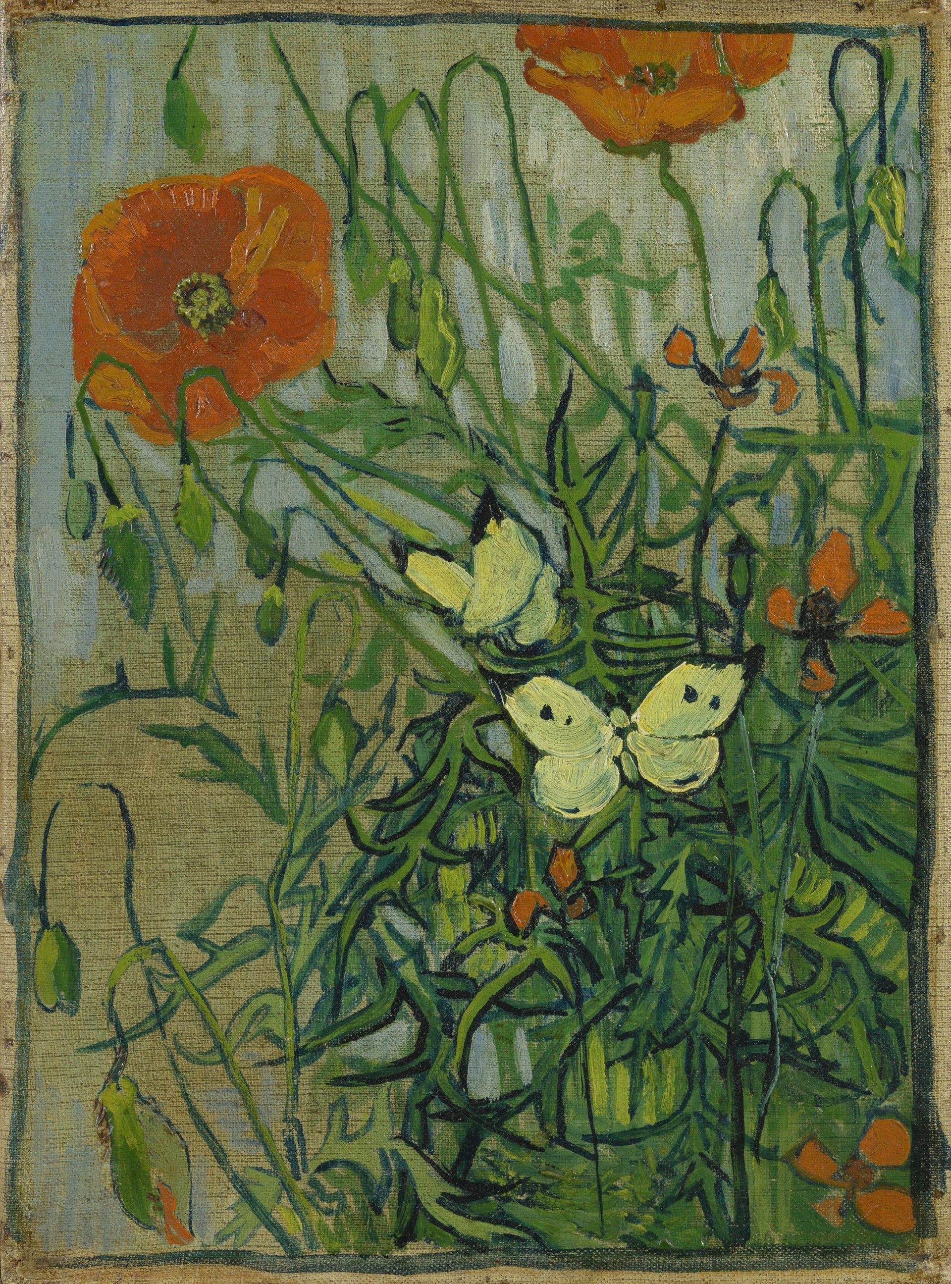 Papillons et coquelicots F748 de Vincent van Gogh, Van Gogh Museum