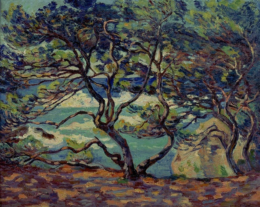 Parasol Le Pin, Le Brusc, okolice Toulon - Armand Guillaumin