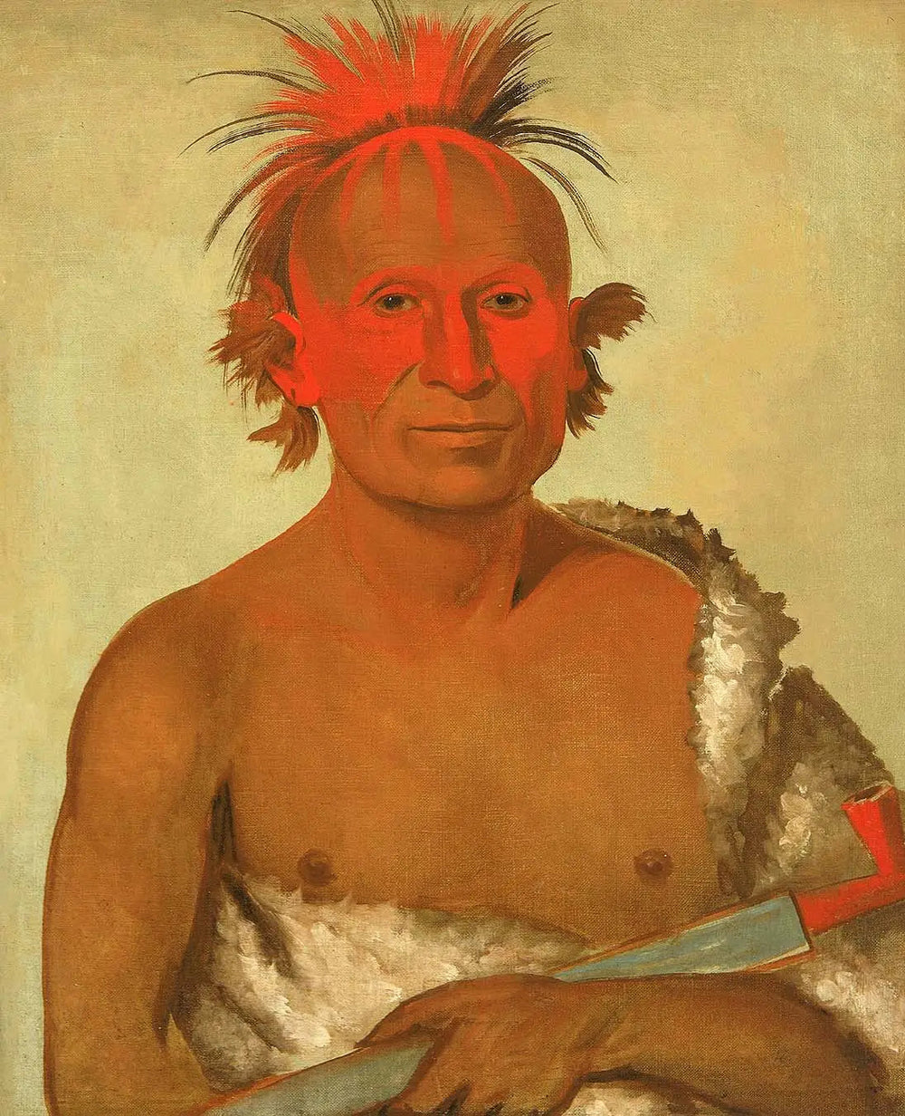 Pash-ee-pa-hó, Petit Chef Poignardant, le Jeune, l'un des Braves de Black Hawk - George Catlin image 1 reproduction de peinture à l’huile