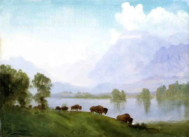 Kraj bizonów - Albert Bierstadt