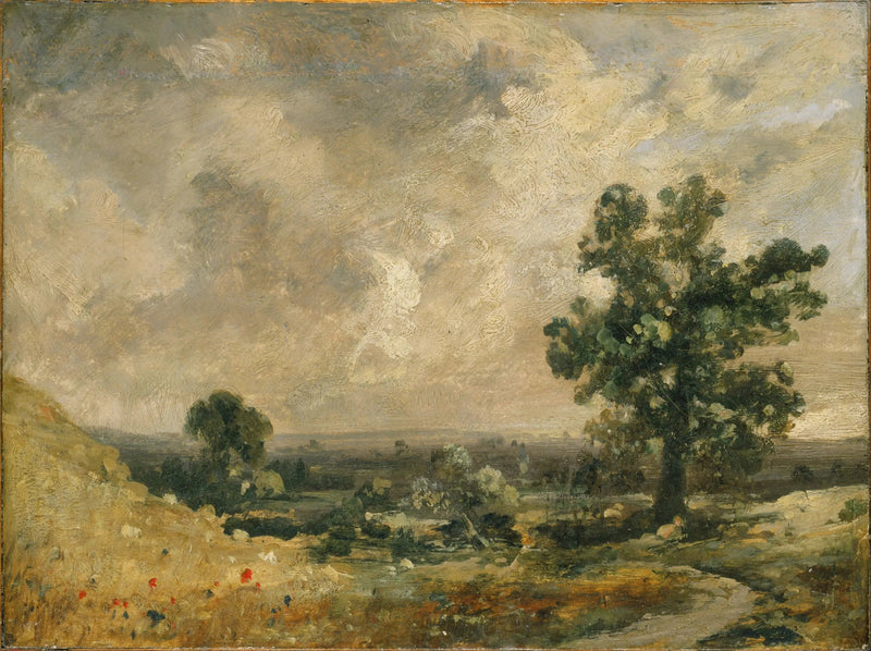 Angielski pejzaż - John Constable