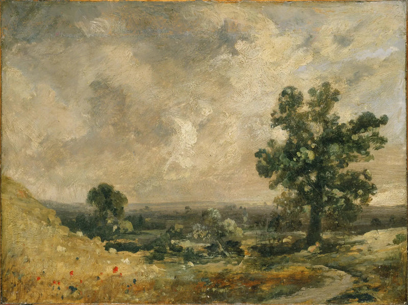 Angielski pejzaż - John Constable