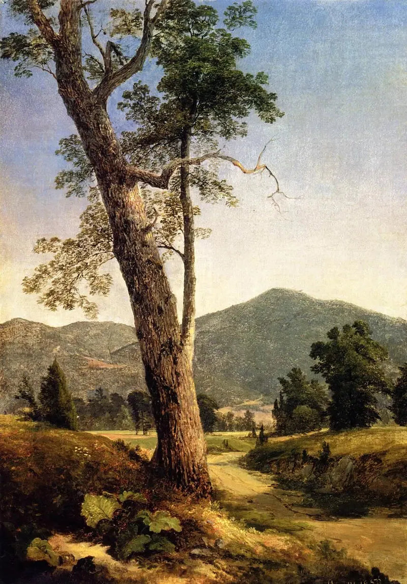 Pejzaż za drzewem - Asher Brown Durand