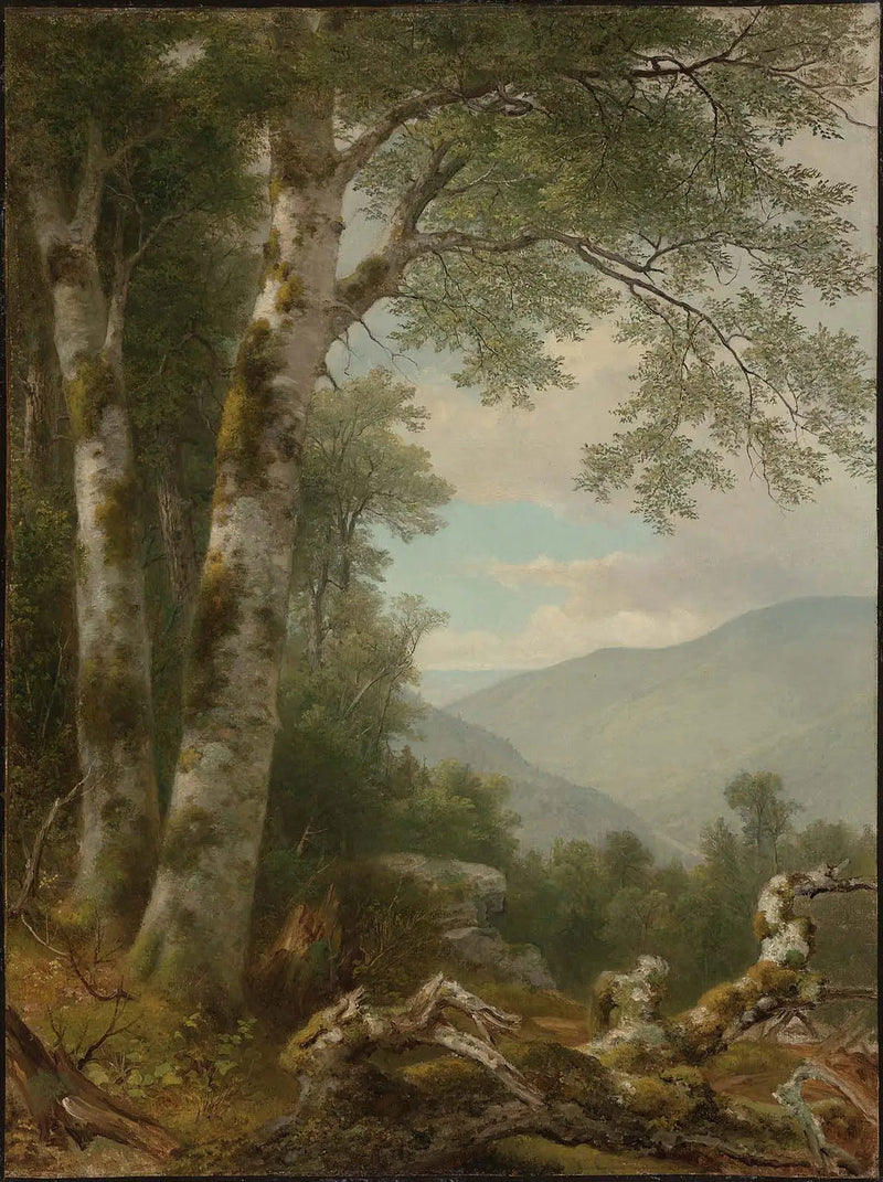 Pejzaż z brzozami - Asher Brown Durand