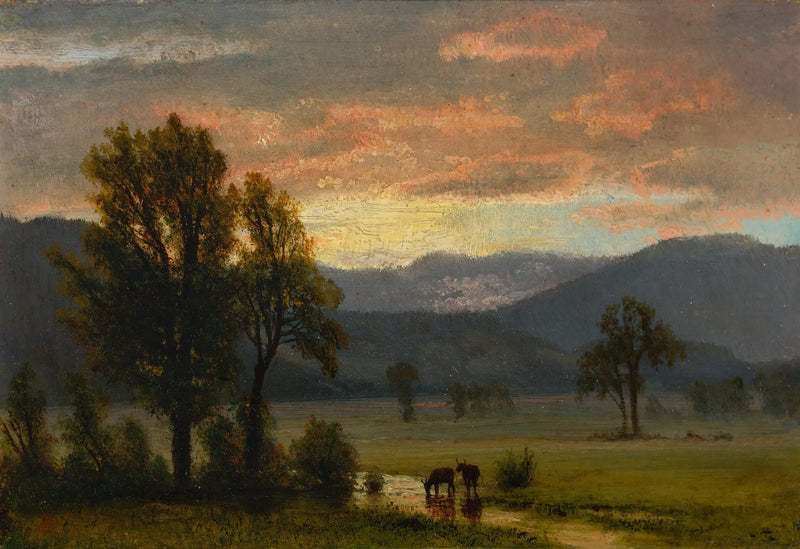 Pejzaż z bydłem - Albert Bierstadt