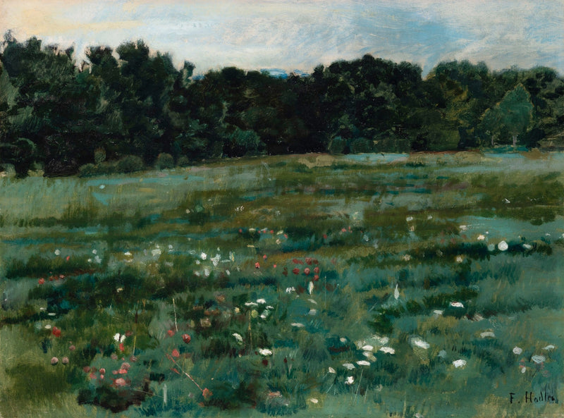Pejzaż z łąką i skrajem lasu - Ferdinand Hodler