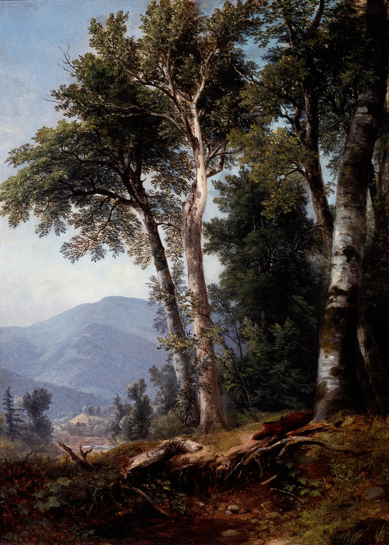 Las krajobrazowy - Asher Brown Durand