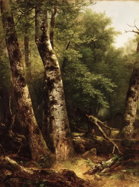 Paysage (bouleaux et chênes) - Asher Brown Durand - Alpha Reproduction