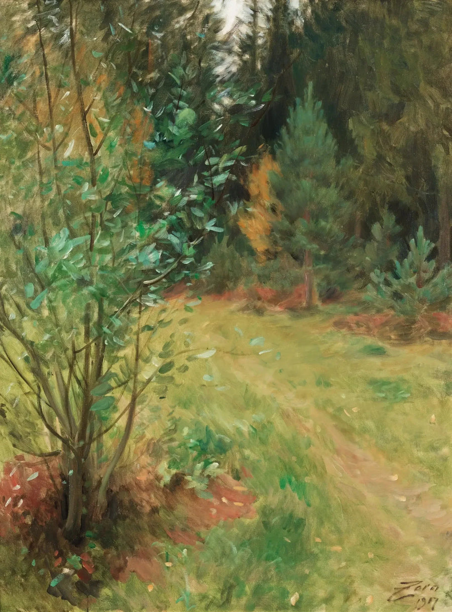 Pejzaż z Gopsmor - Anders Zorn