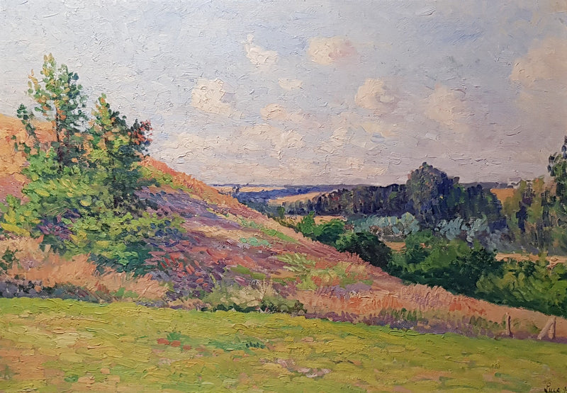 Pejzaż Normandii, Bazincourt - Maximilien Luce