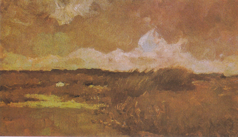 Bagienny krajobraz - Vincent van Gogh