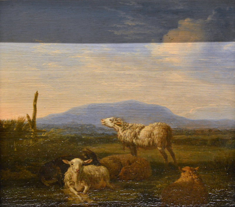Paysage : moutons et chèvres - Adriaen van de Velde