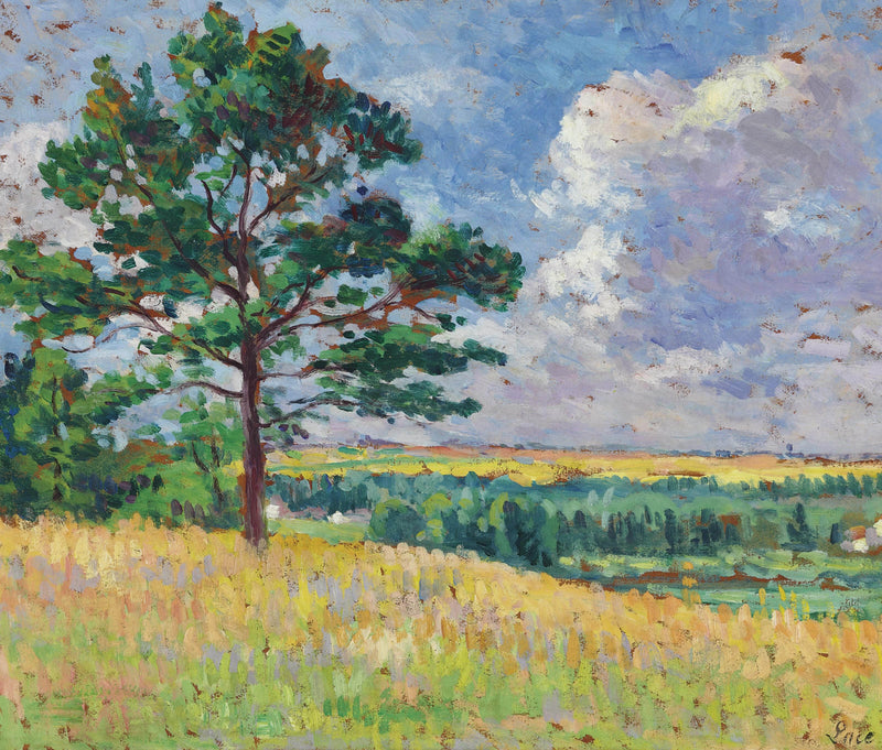 Pejzaż w pobliżu Méréville - Maximilien Luce