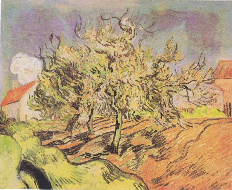 Krajobraz z trzema drzewami i domami - Vincent van Gogh