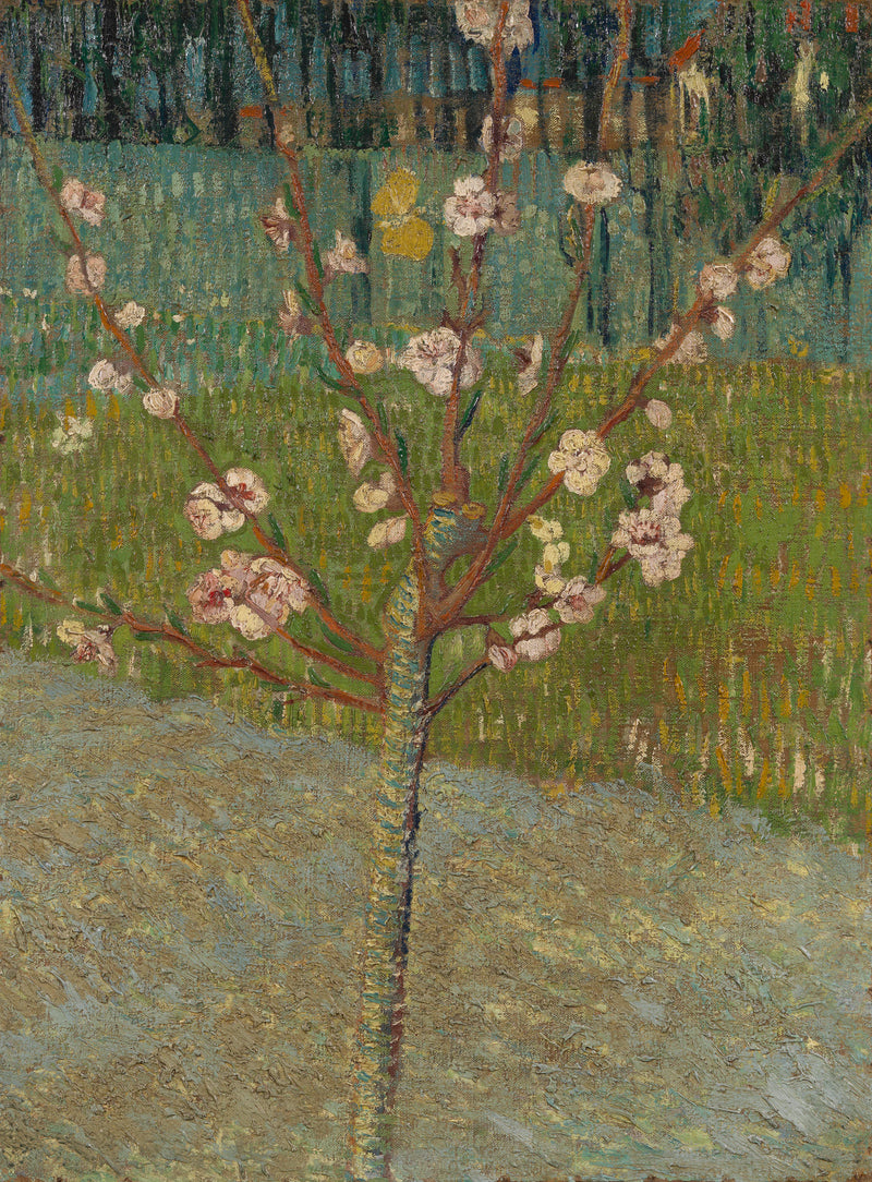 Wędkarstwo w rozkwicie - Vincent van Gogh