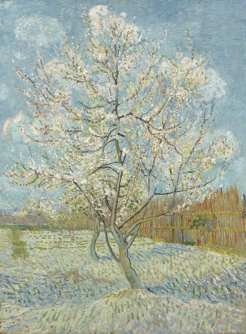 Brzoskwinia różowa - Vincent van Gogh